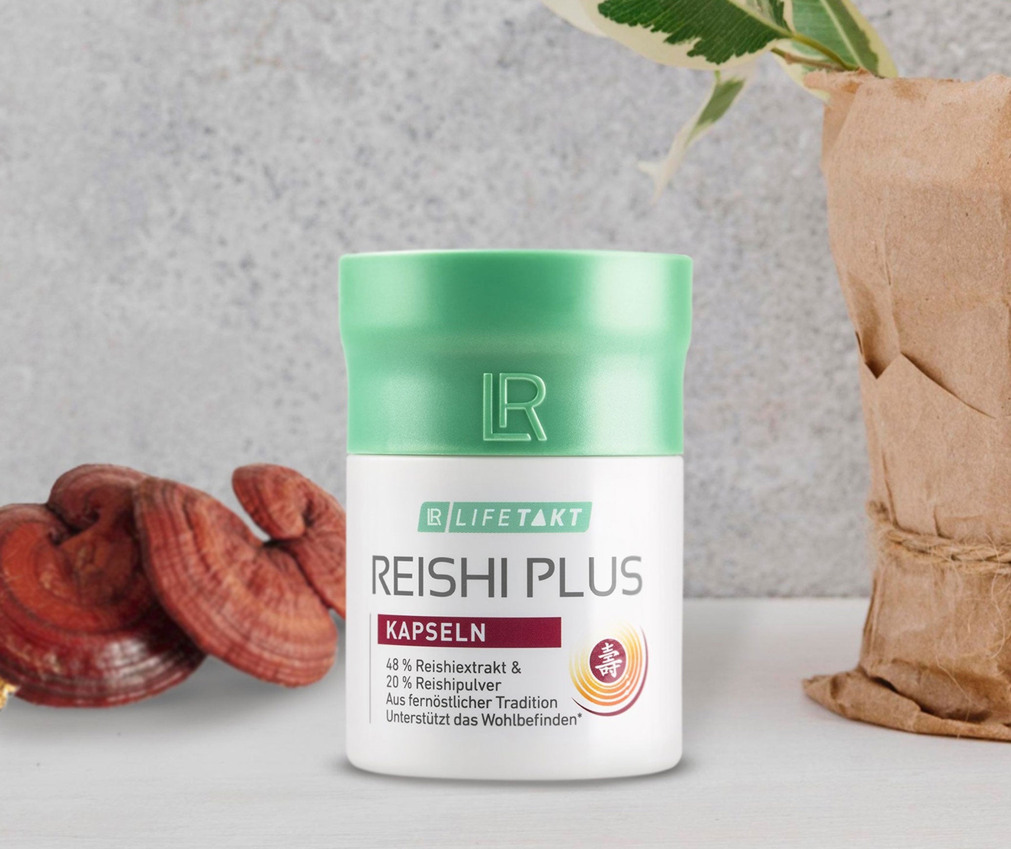 Reishi Plus Kapseln
