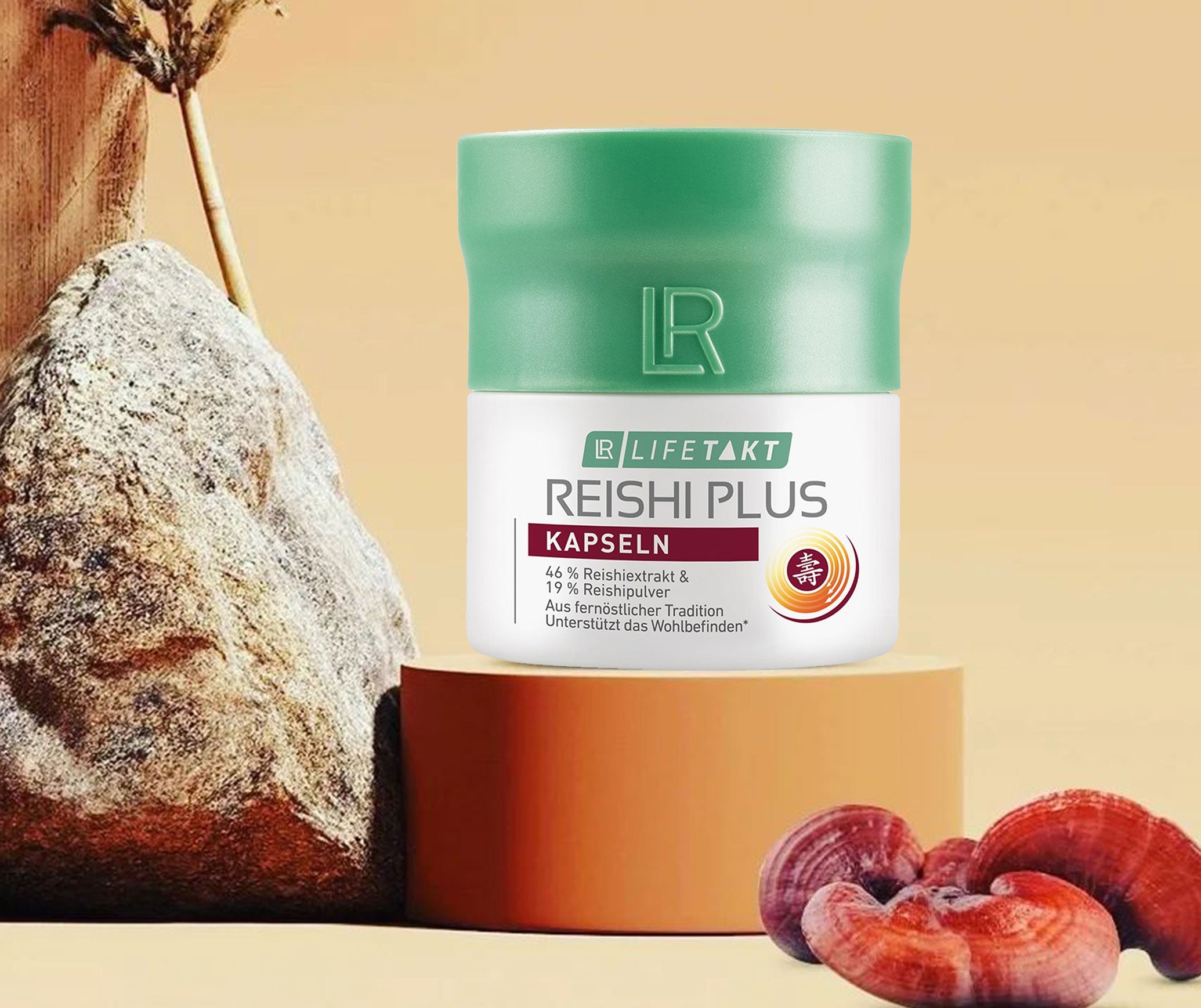 Reishi Plus Kapseln